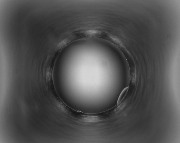 X0000086010476200703301014