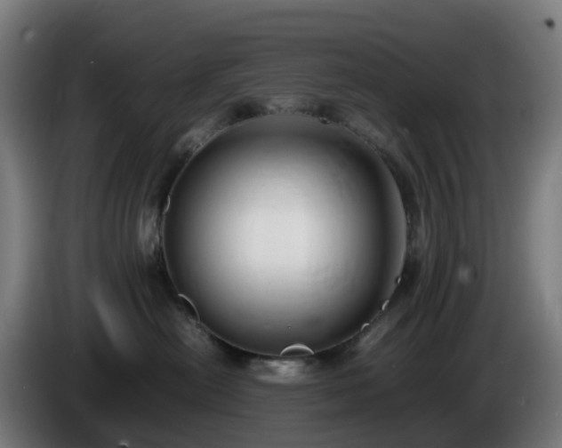X0000086010478200703301014