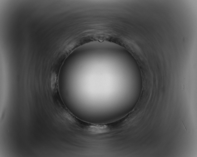 X0000086010480200703301014