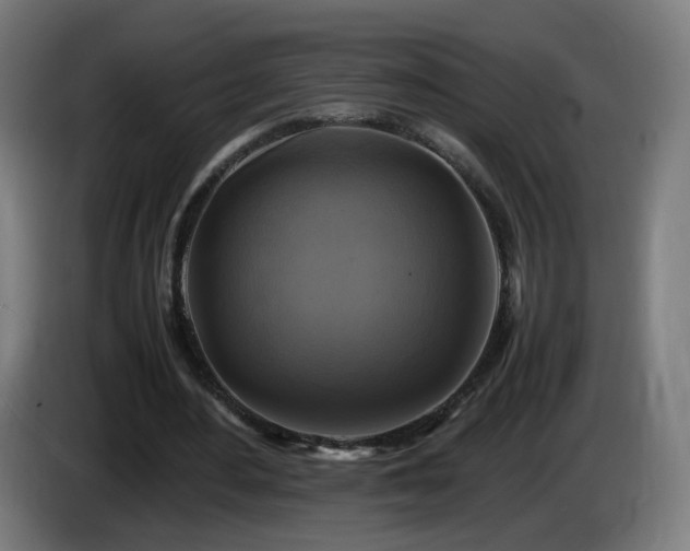 X0000086010484200703301013
