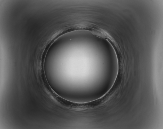 X0000086010485200703301013