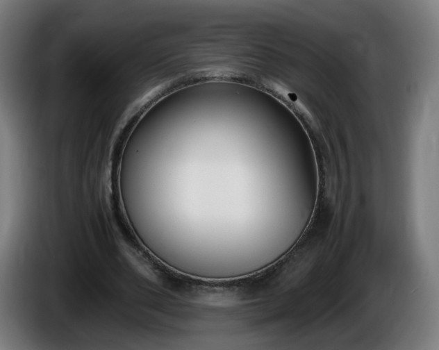 X0000086010486200703301013