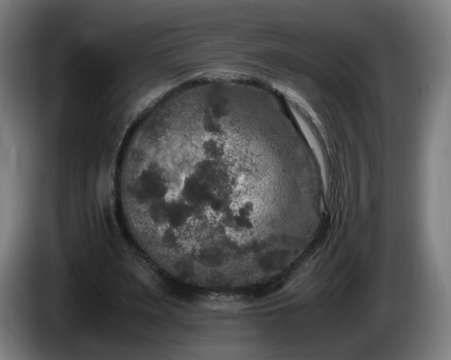 X0000086010487200703301013