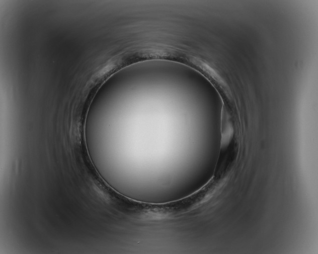 X0000086010489200703301013