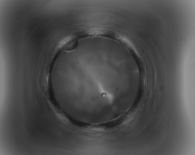 X0000086010491200703301013