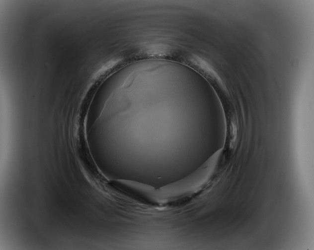 X0000086010492200703301013
