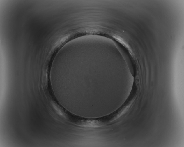 X0000086010493200703301013