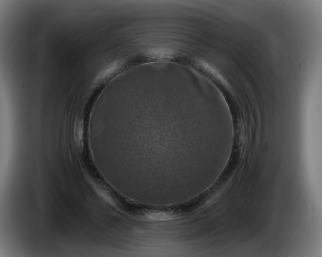 X0000086010494200703301013
