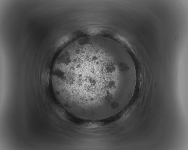 X0000086010495200703301013