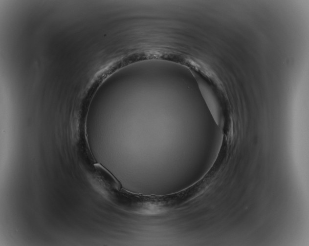 X0000086010496200703301013