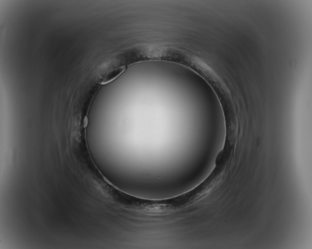X0000086010497200703301013