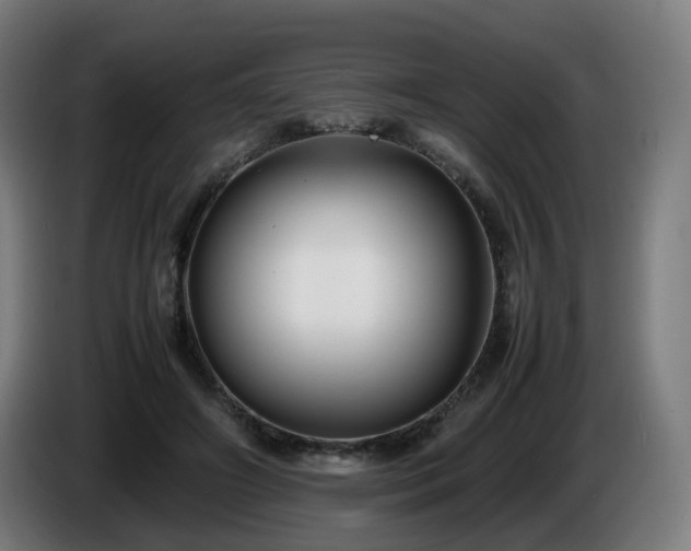 X0000086010498200703301013