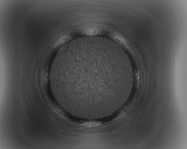 X0000086010499200703301013