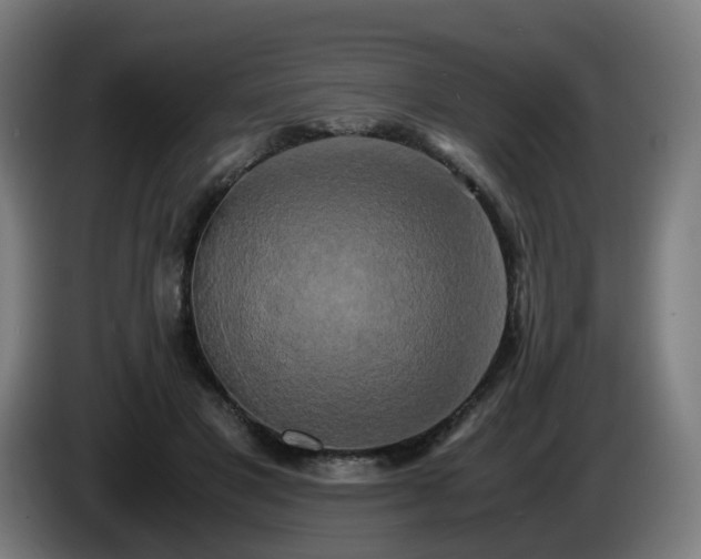 X0000086010501200703301013
