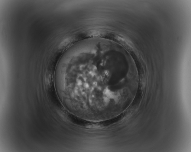 X0000086010503200703301013