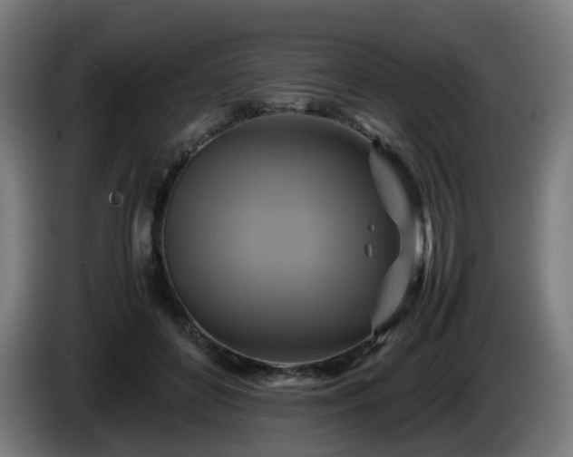 X0000086010504200703301013