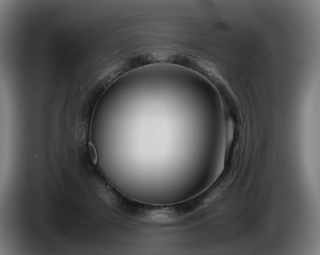 X0000086010505200703301013