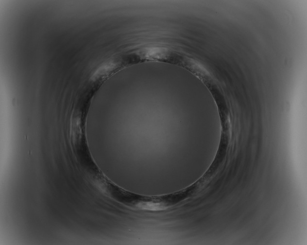 X0000086010506200703301013