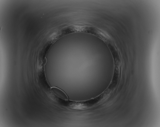 X0000086010507200703301013