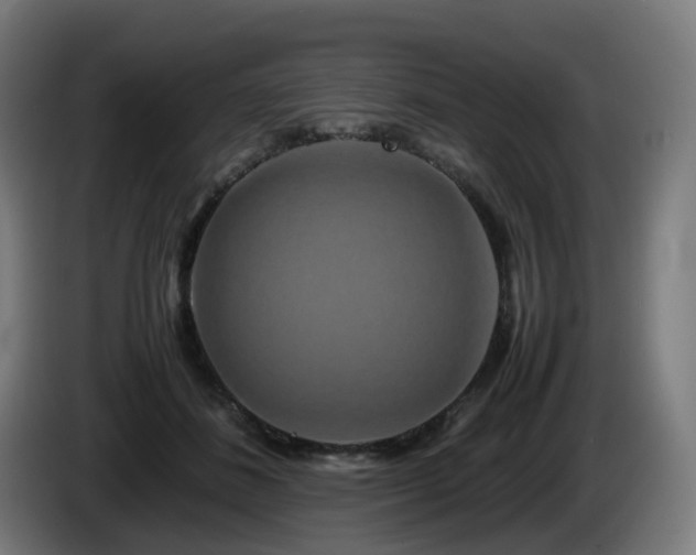 X0000086010508200703301013