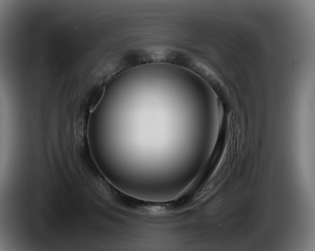 X0000086010509200703301013