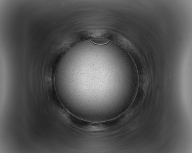 X0000086010510200703301013
