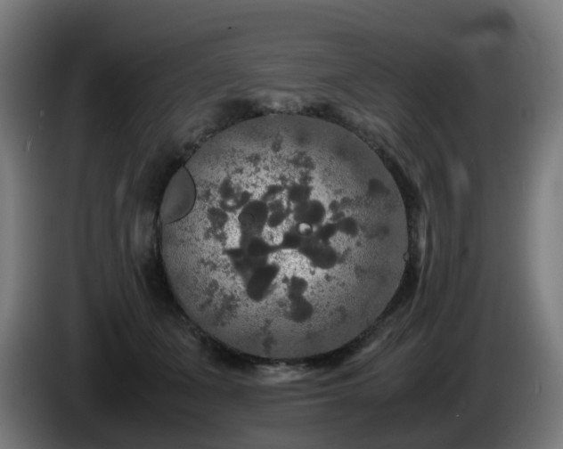 X0000086010511200703301013