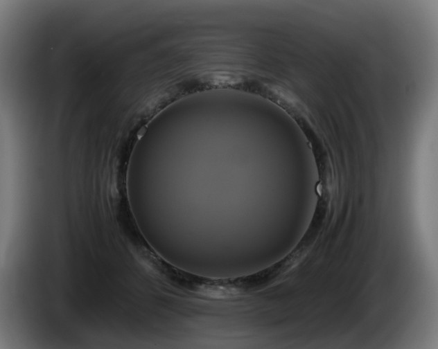X0000086010512200703301013