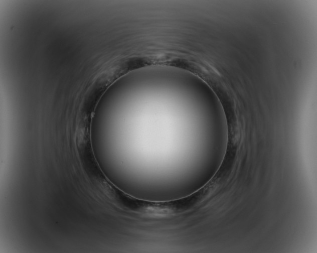 X0000086010515200703301013