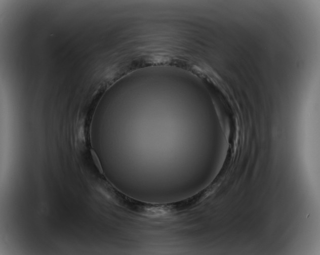 X0000086010516200703301013