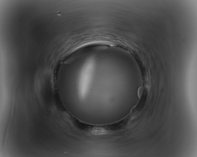 X0000086010519200703301013