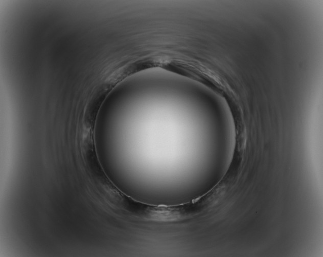 X0000086010521200703301013