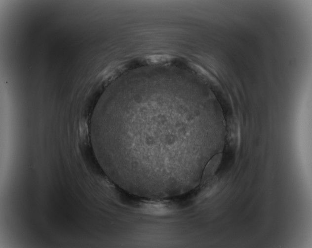 X0000086010523200703301013