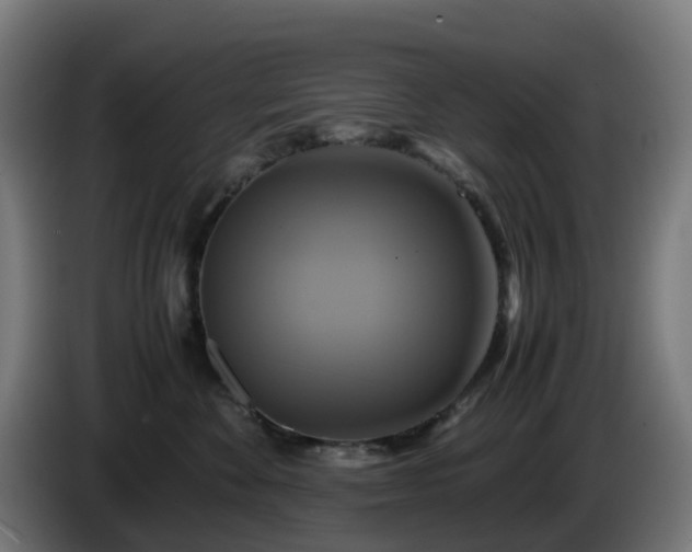 X0000086010524200703301013