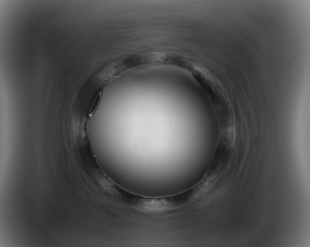 X0000086010525200703301013
