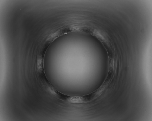 X0000086010526200703301013