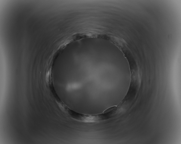X0000086010527200703301013