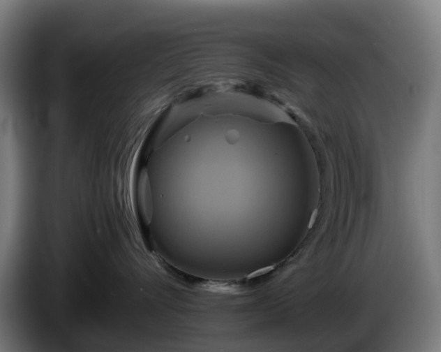X0000086010528200703301013