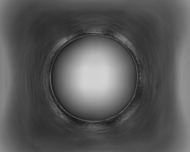 X0000086010529200703301012