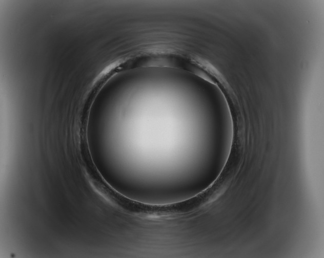 X0000086010530200703301012