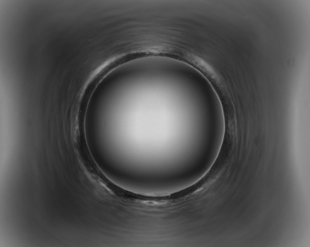X0000086010532200703301012