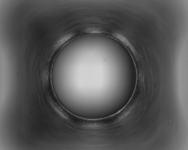 X0000086010533200703301012
