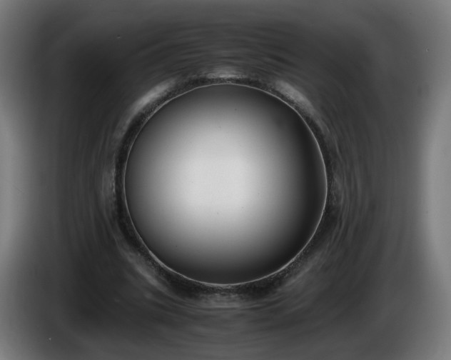 X0000086010535200703301012