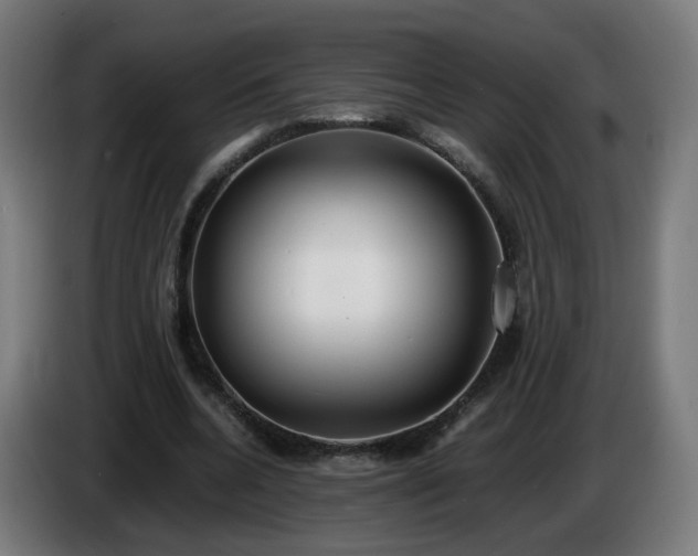 X0000086010536200703301012