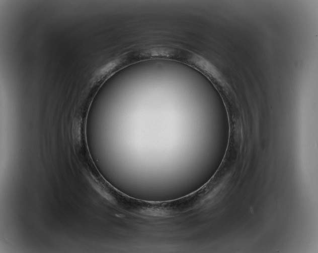 X0000086010537200703301012