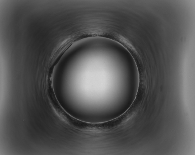 X0000086010538200703301012