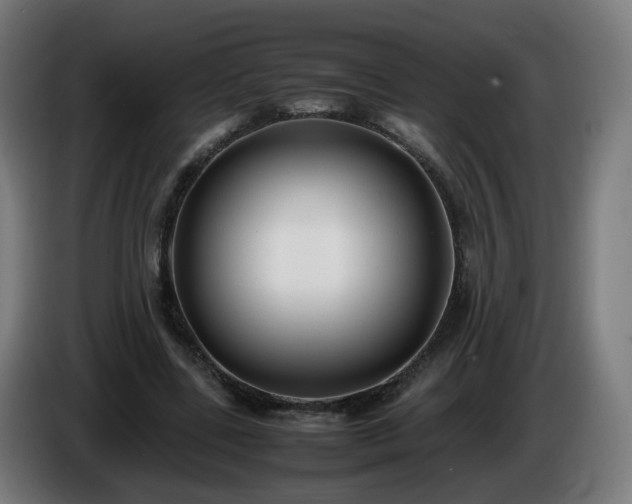X0000086010539200703301012