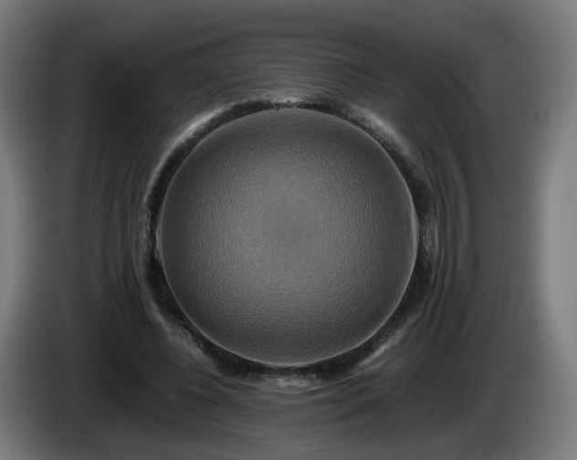 X0000086010540200703301012