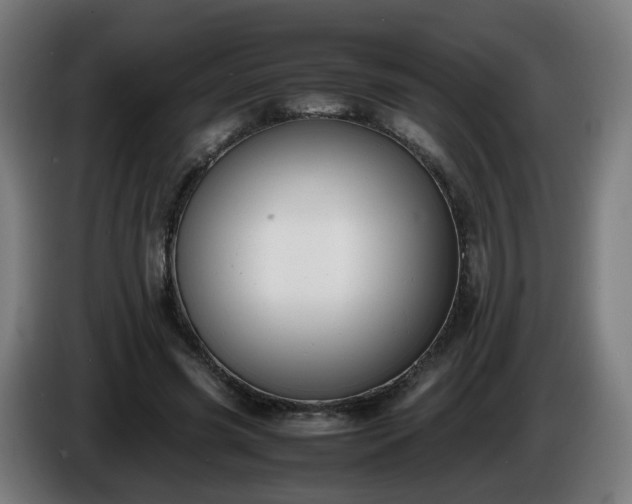 X0000086010541200703301012