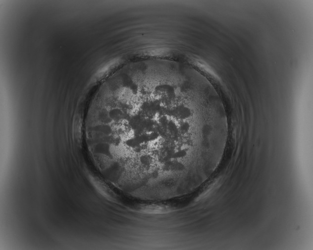 X0000086010542200703301012